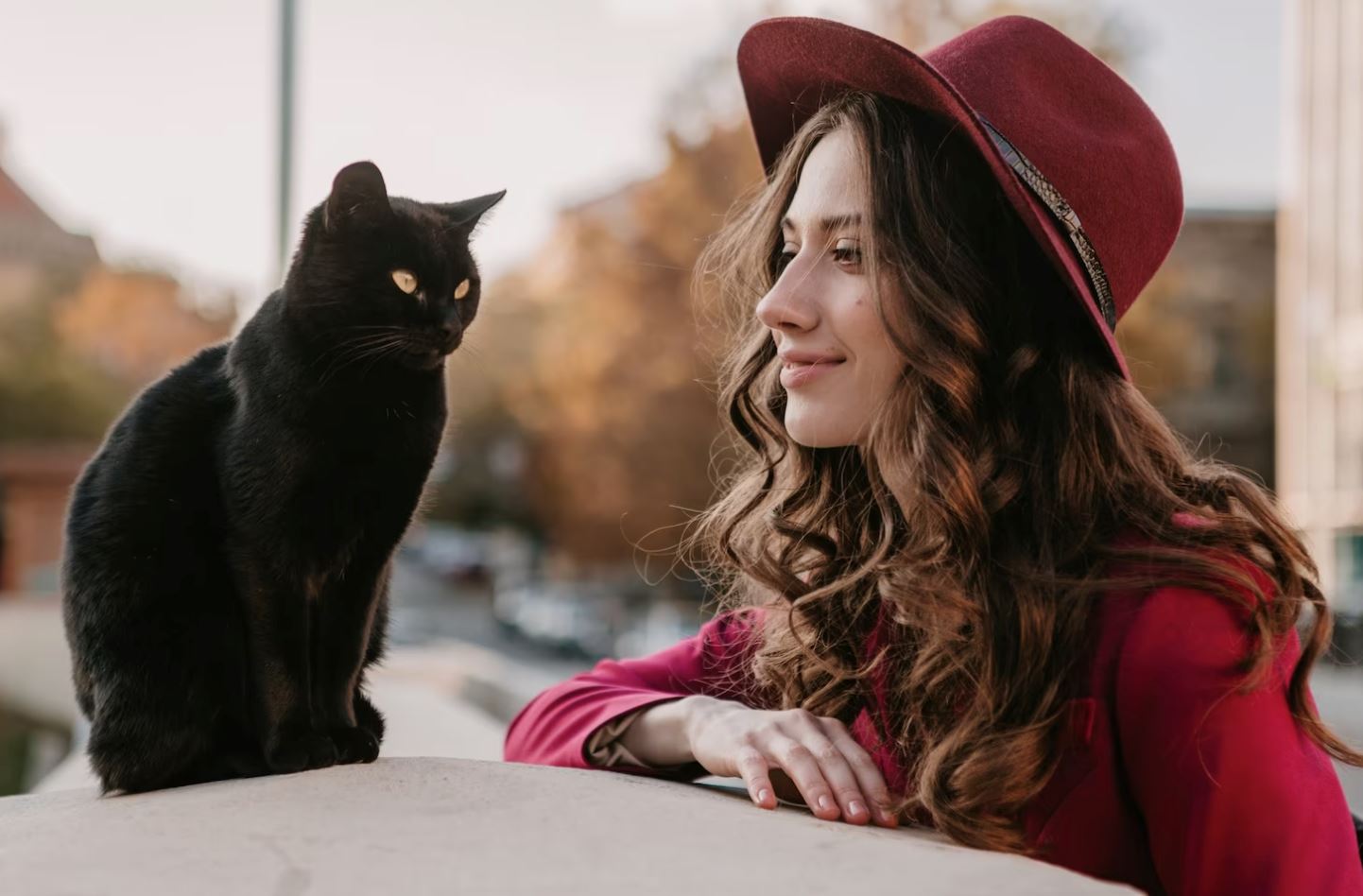 kurangkan rasa sunyi, rupanya bela kucing adalah terapi yang baik untuk mental