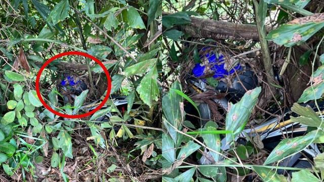 kematian misteri? penduduk terkejut temui rangka dipercayai manusia