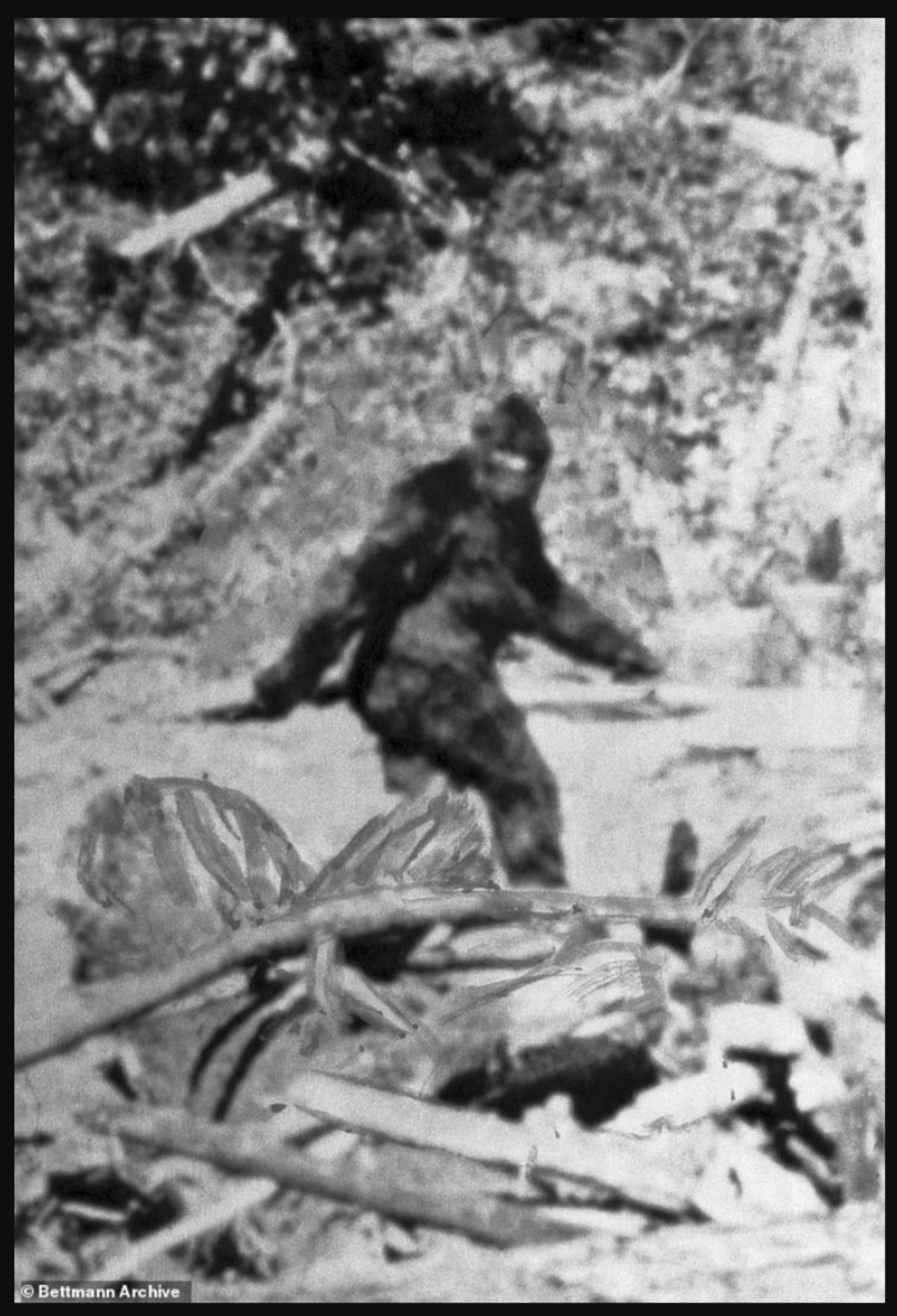 penduduk setempat terkejut jumpa kesan tapak kaki saiz gergasi di pantai