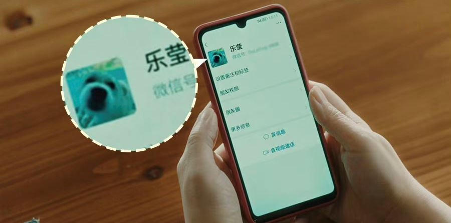 放大镜下的《热辣滚烫》❗这些小细节你都看懂了吗❓