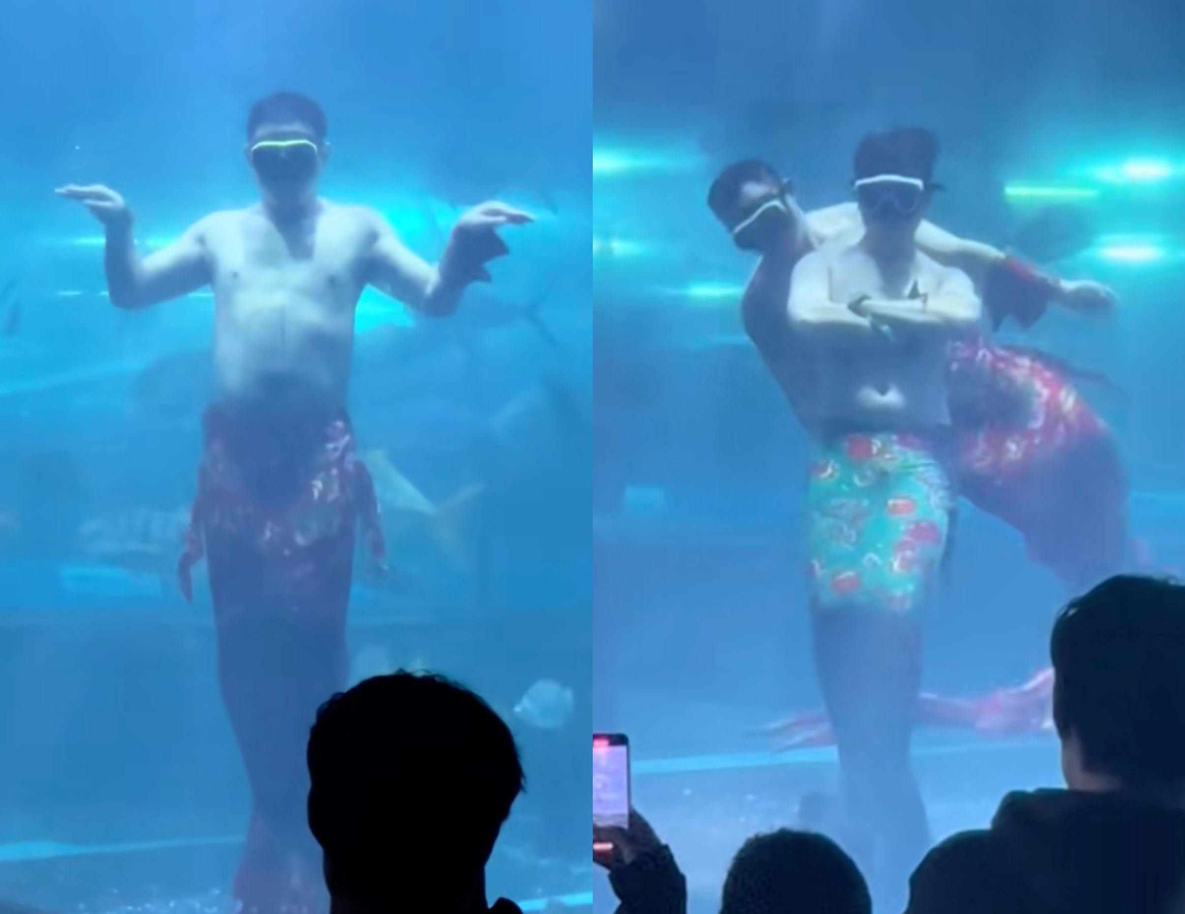 aquarium cleaner in china becomes internet sensation as “belly-shaking mermaid,” entertaining visitors
