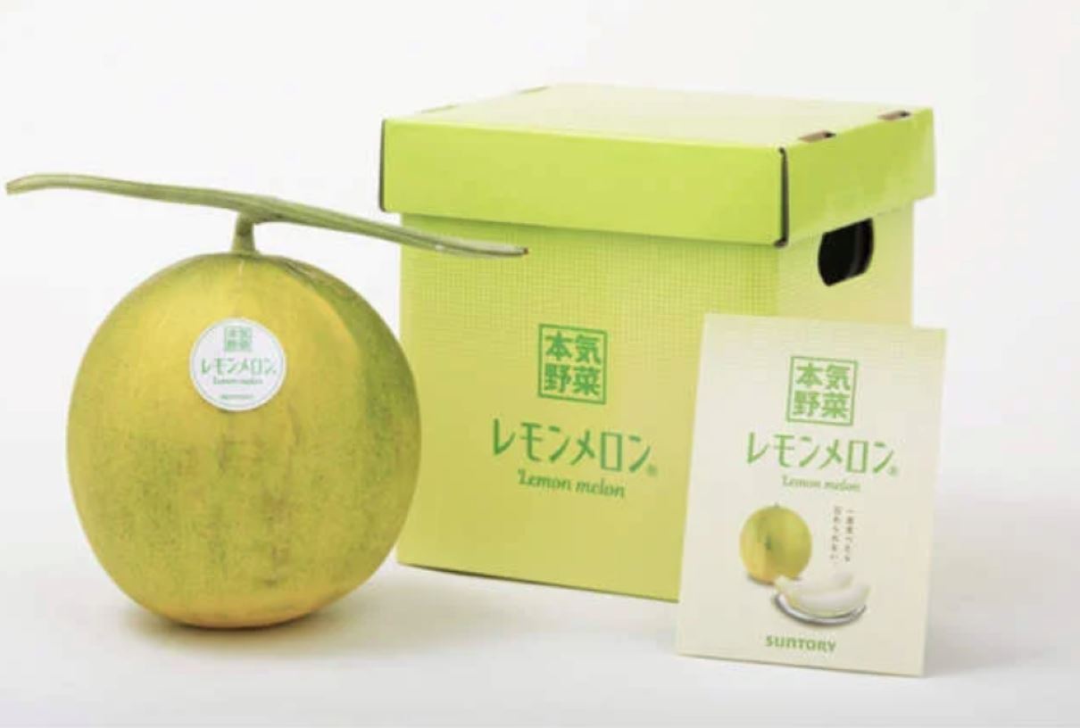 petani jepun berjaya cipta buah tembikai tapi rasa limau