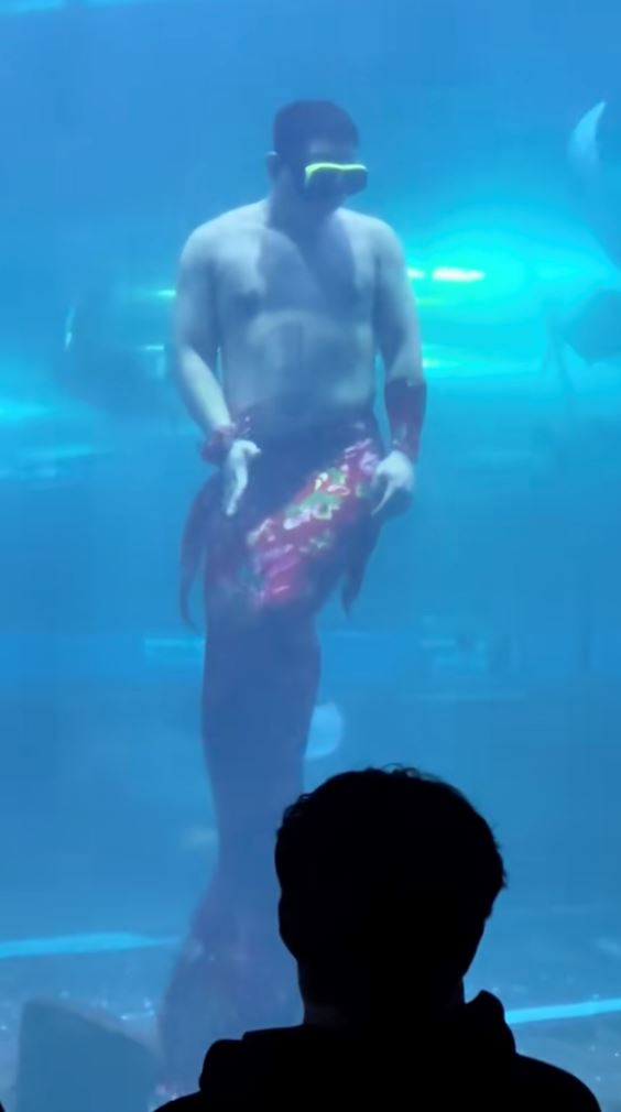 aquarium cleaner in china becomes internet sensation as “belly-shaking mermaid,” entertaining visitors