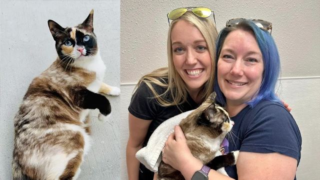 disangka hilang, rupanya 'terpos' ke dalam kotak amazon