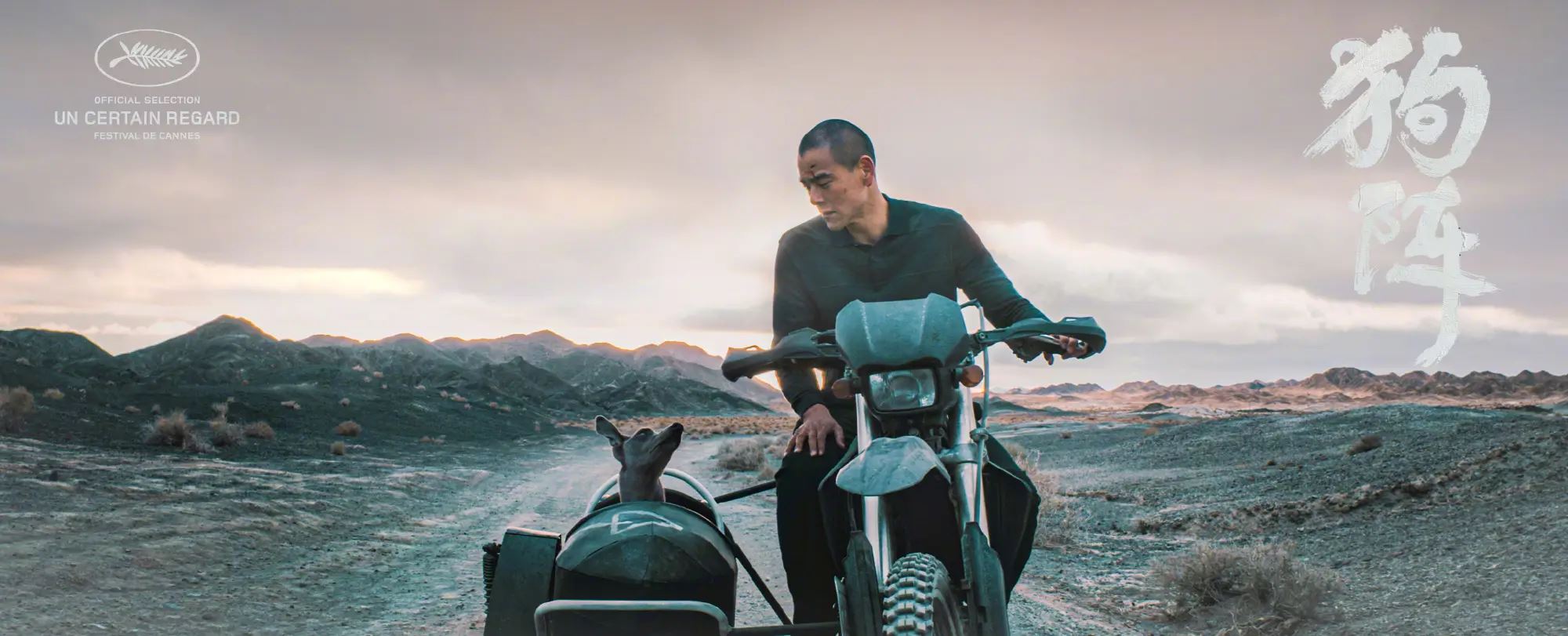 🎬第77届戛纳电影节开幕❗彭于晏带爱犬xin一起走红毯🔥