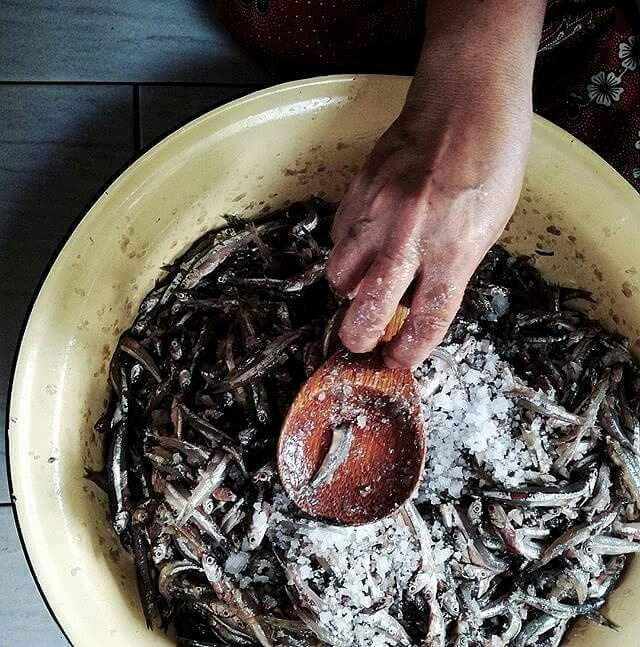 asal usul budu yang patut semua orang tahu