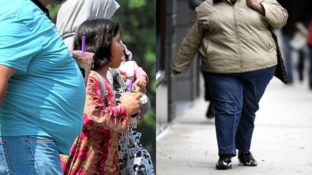 rakyat malaysia semakin gemuk, apa puncanya?