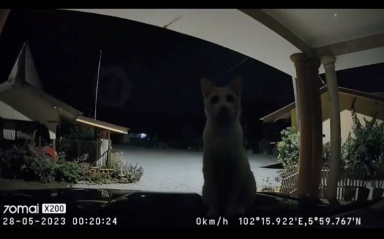 dapat notifikasi ‘suspicious person’ dekat kereta, bila tengok kamera tak sangka nampak ni