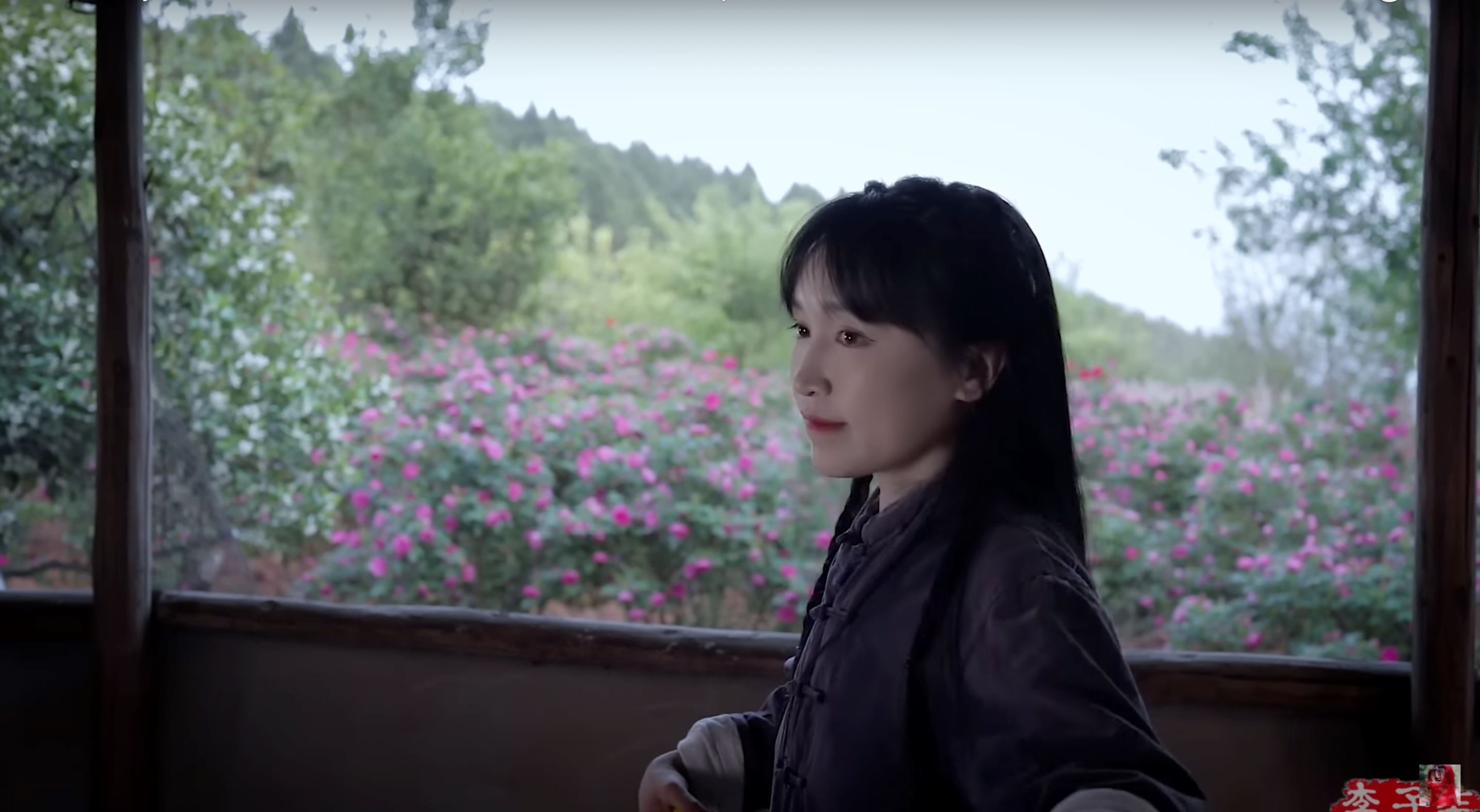 🇨🇳李子柒官宣回归啦❗停更3年再发视频🔥