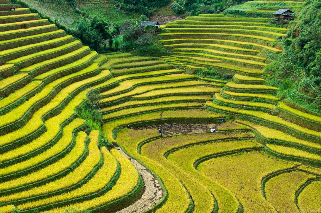 A picturesque image of an attraction in Sapa, Vietnam