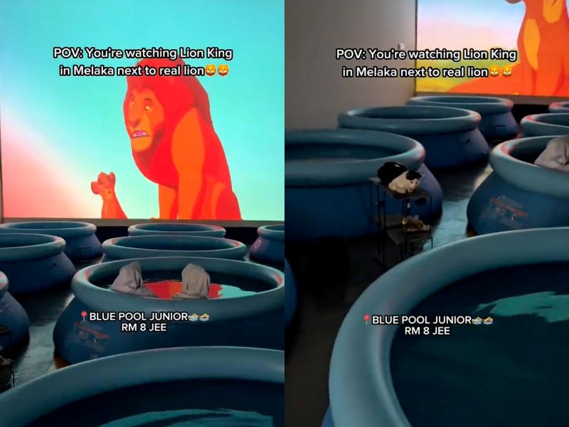 reactions mixed as 'world's first junior pool cinema' opens in melaka