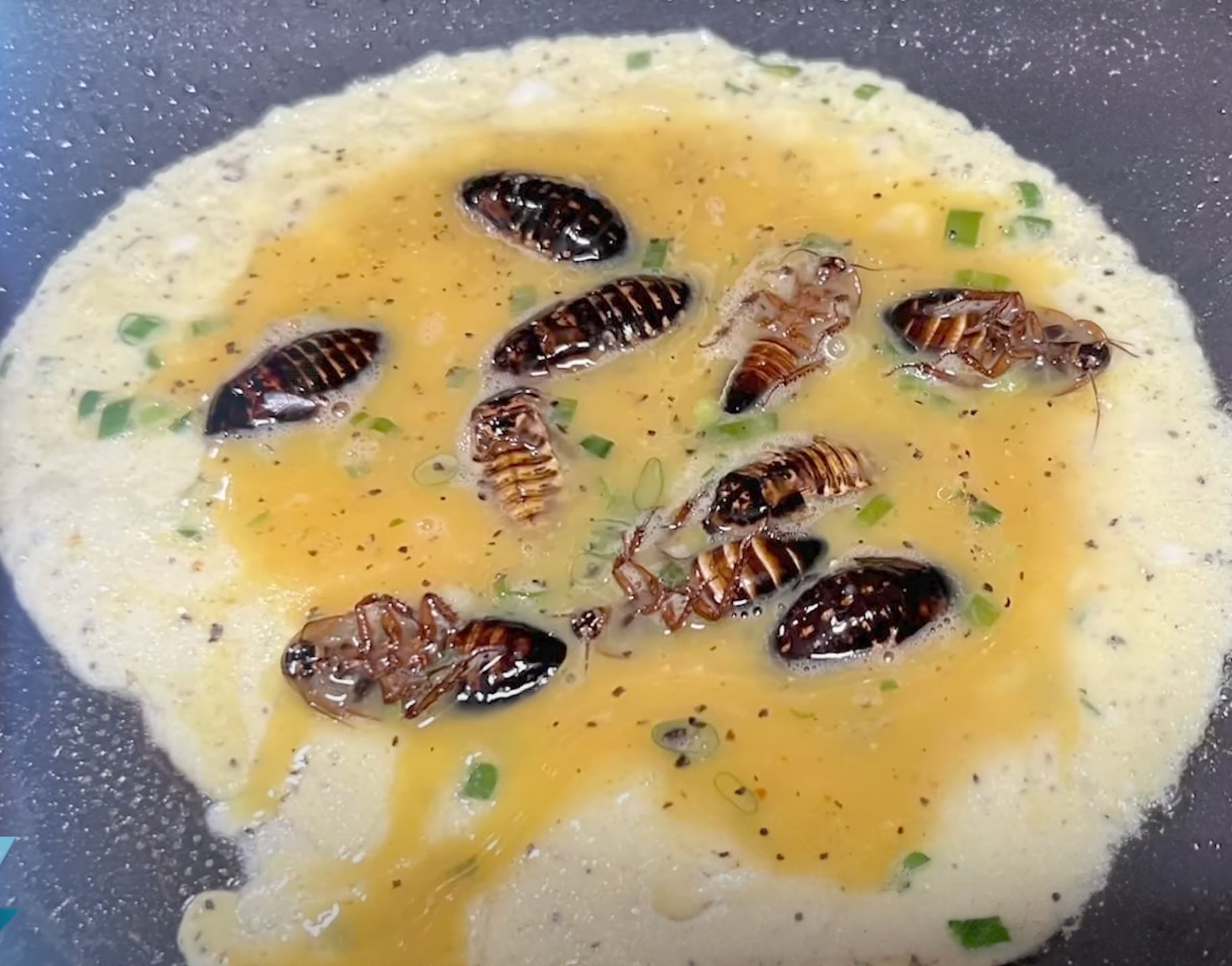 geli betul bila lelaki ini kongsi resipi telur dadar lipas pada orang ramai