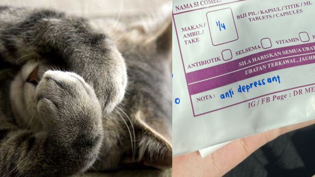 kucing-anti-depressant-640.png