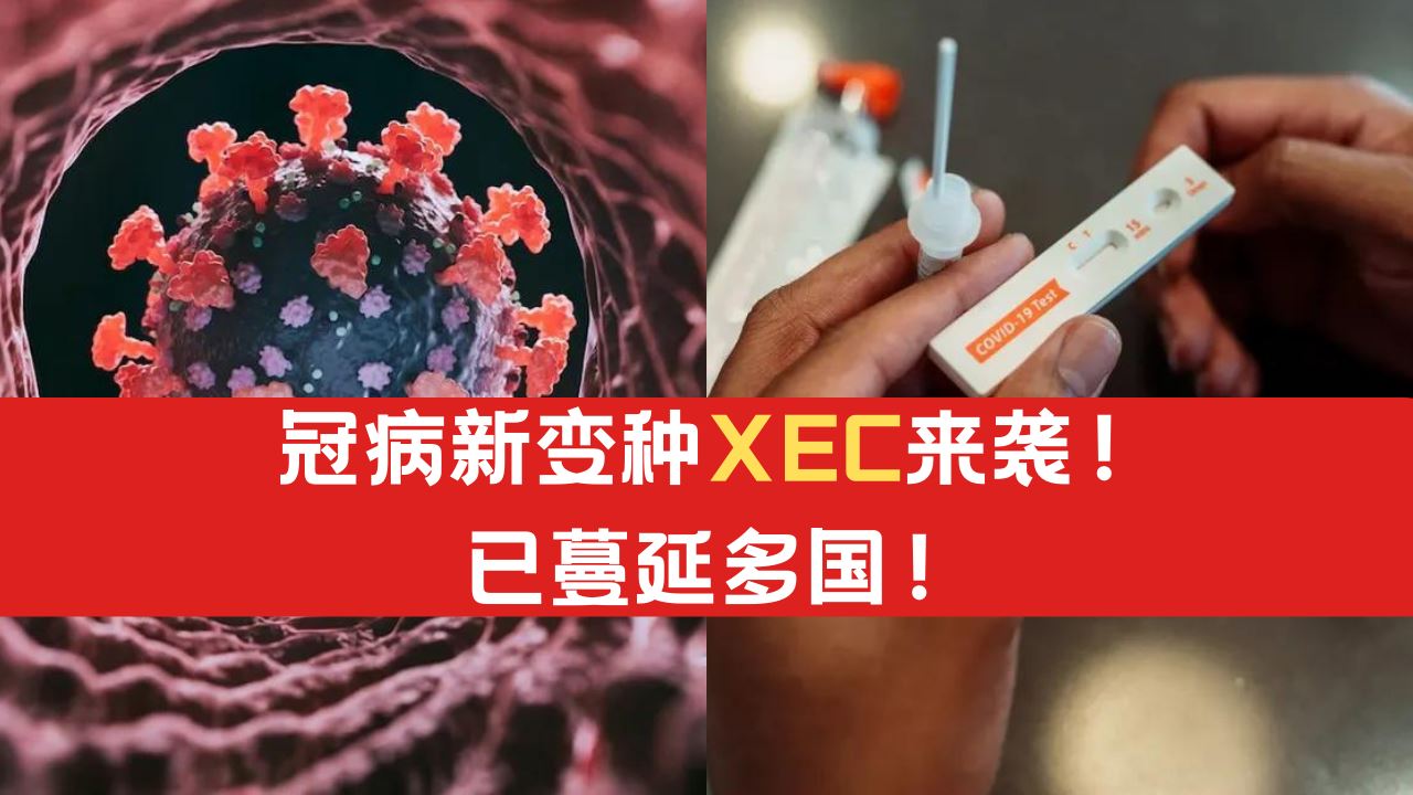 xec.png