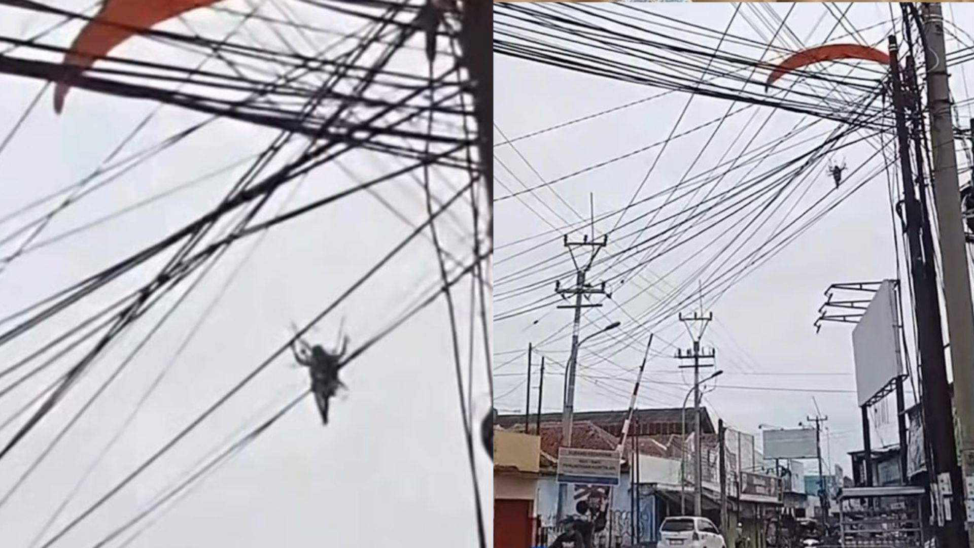 lelaki balik raya guna paragliding, curi perhatian netizen