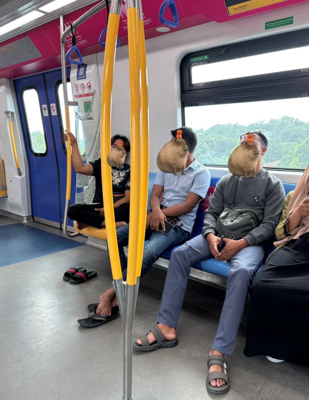rapidkl steps in after men are seen misusing women-only coach, even resting their feet on the seats