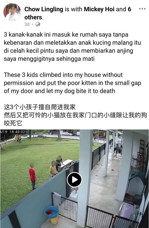 kanak-kanak ceroboh rumah, tinggalkan anak kucing sehingga mati digigit anjing