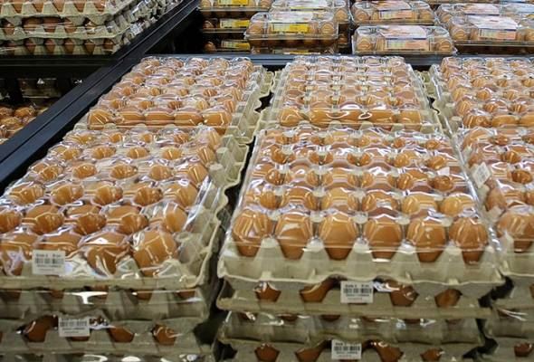subsidi telur ayam ditamatkan bermula esok