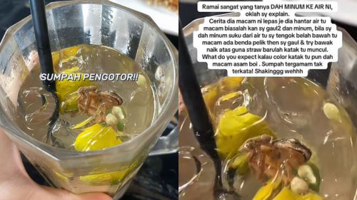 [video] asam boi rasa katak? wanita terkejut jumpa 'tetamu' tak diundang dalam minuman!