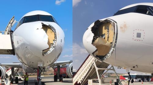 [video] penerbangan dari madrid ke paris terpaksa berpatah balik akibat pelanggaran dengan burung besar