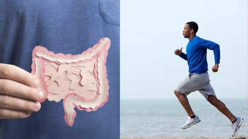 betul ke manusia boleh hidup dengan kurma & air sahaja? mitos atau realiti? 