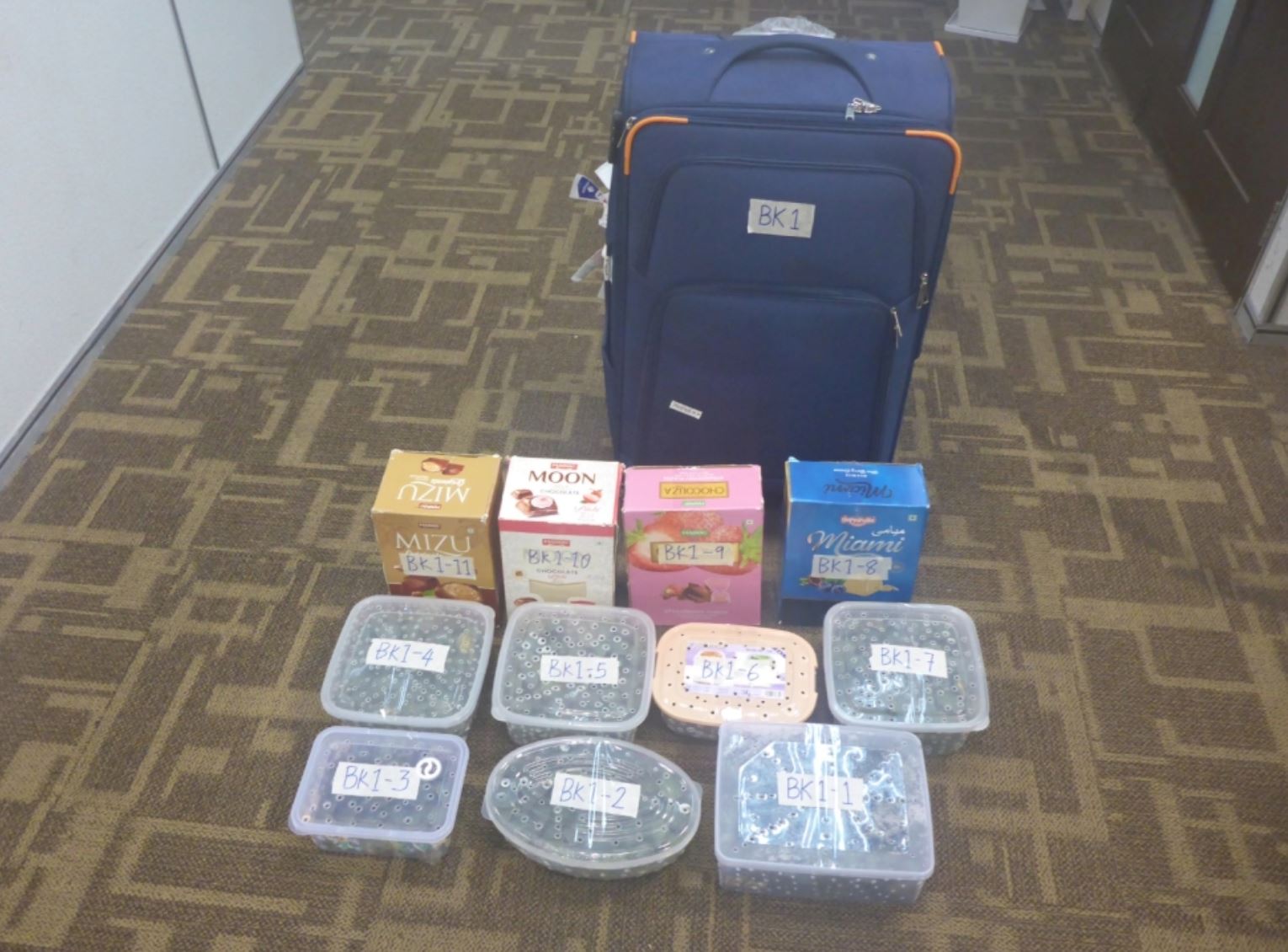 klia officers catch foreigner with luggage full of turtles worth rm348,000