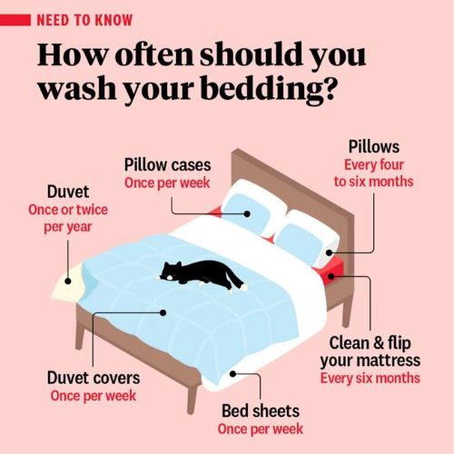 jangan malas! ini jadual cuci cadar & bantal yang ramai tak tahu