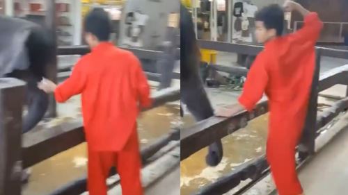 [video] kenapa gajah ini takut sangat? jawapannya lebih gelap daripada yang kita sangka!