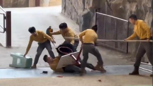 [video] 46 saat paling ngeri, penjaga diserang beruang di safari hangzhou!