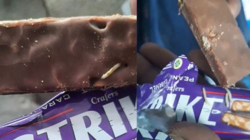 [video] bantuan atau penghinaan? bekalan masuk gaza berulat & tak layak dimakan!