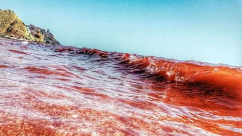 [video] disangka laut berdarah, rupanya ini rahsia menakjubkan pantai merah di hormoz!
