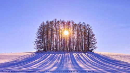 hari terpendek, cerita terpanjang: magis solstis musim sejuk 2025