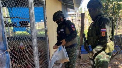 kampung sunyi di sempadan, jejak pertempuran thailand-kemboja