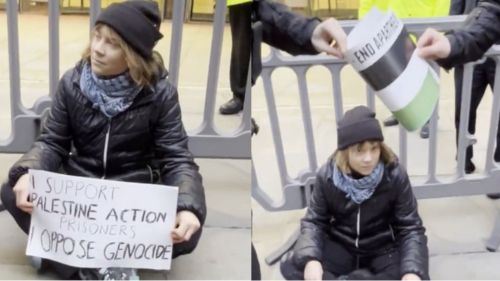 [video] greta thunberg dilaporkan ditahan ketika aksi solidariti palestin di london