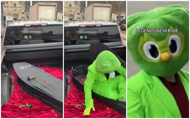 rip no more! duolingo’s iconic owl returns in dramatic fashion