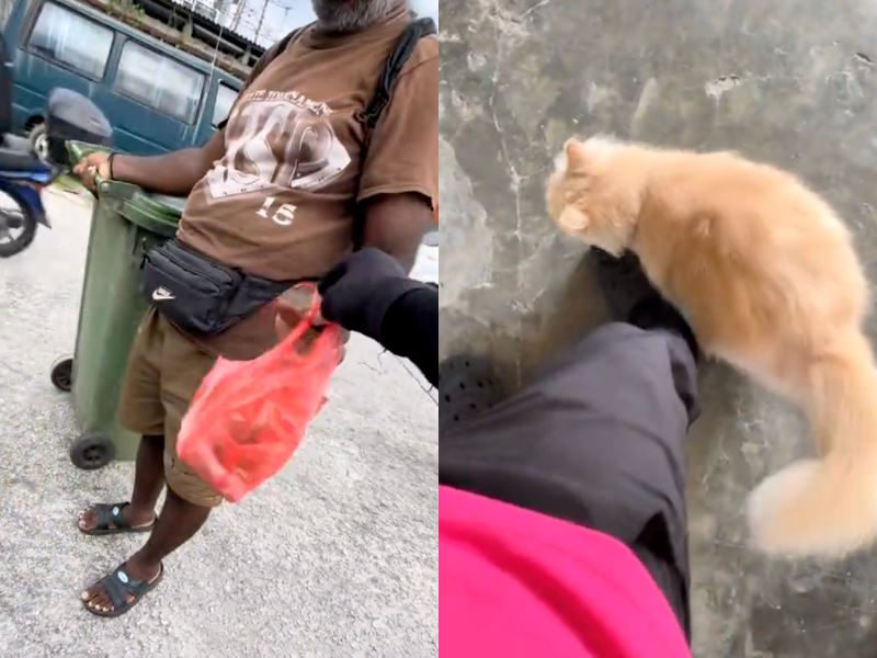 delivery rider praised as hero for daily acts of kindness towards animals and people