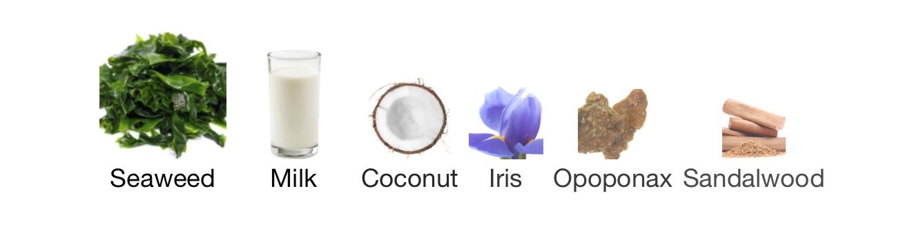 Notes perfume Secretions Magnifiques Etat Libre d'Orange