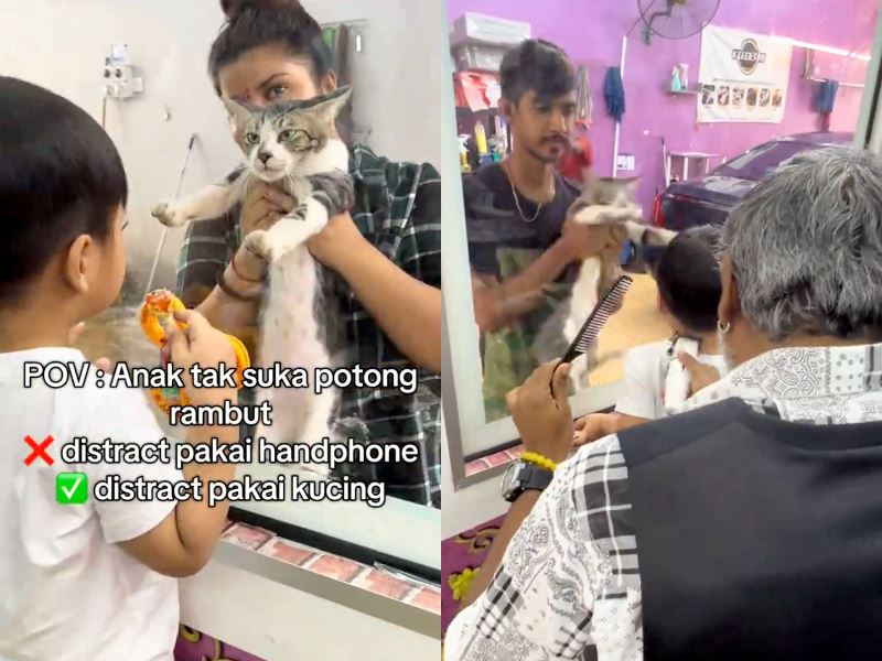 “upah wet food!” this barbershop uses a cat to calm children scared of haircuts!