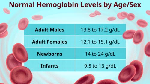 ada apa dengan hemoglobin? rahsia kehidupan dalam setitis darah