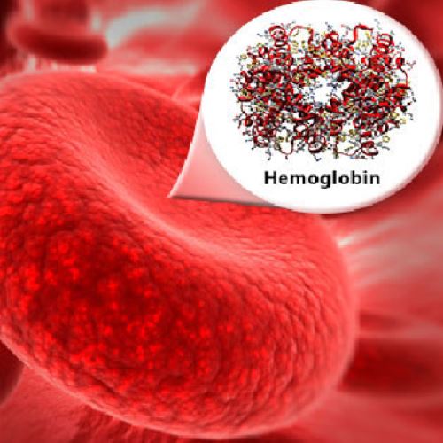 ada apa dengan hemoglobin? rahsia kehidupan dalam setitis darah