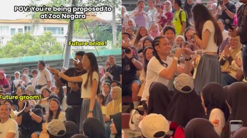 [video] burung jadi posmen cinta, wanita dilamar di zoo negara