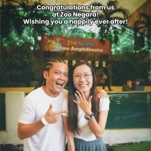 [video] burung jadi posmen cinta, wanita dilamar di zoo negara