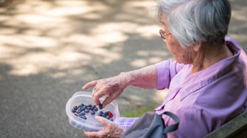 hanya makan blueberry setiap hari, otak jadi 2.5 tahun lebih muda!