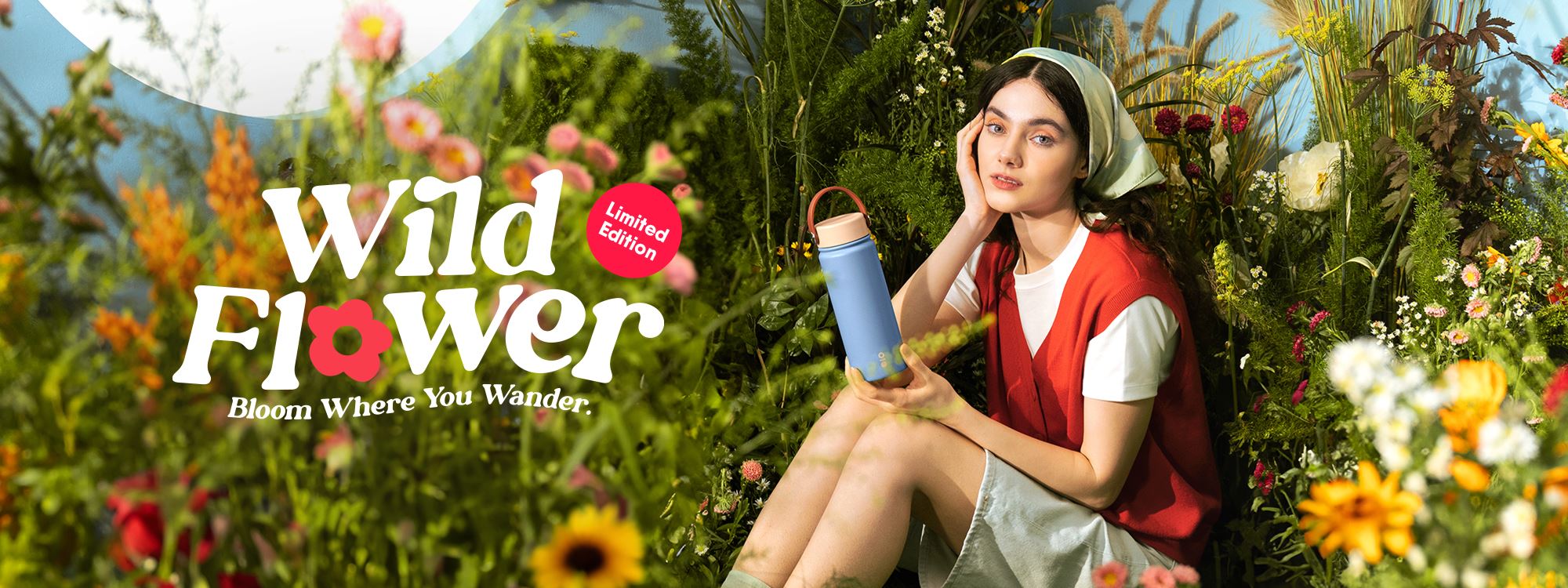 Montigo Wildflower Field Collection宣传主图