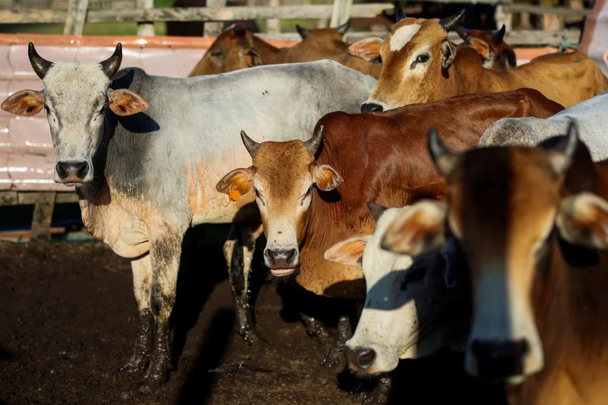 larangan jual bahagian haiwan korban - “haram hukumnya menjual kepala, kaki lembu korban…”