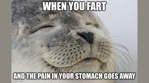 fakta mengejutkan tentang kentut & kesihatan