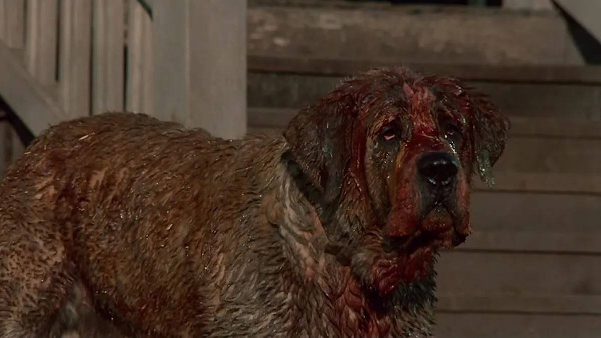 netflix greenlights ‘cujo’ remake of stephen king’s classic horror novel