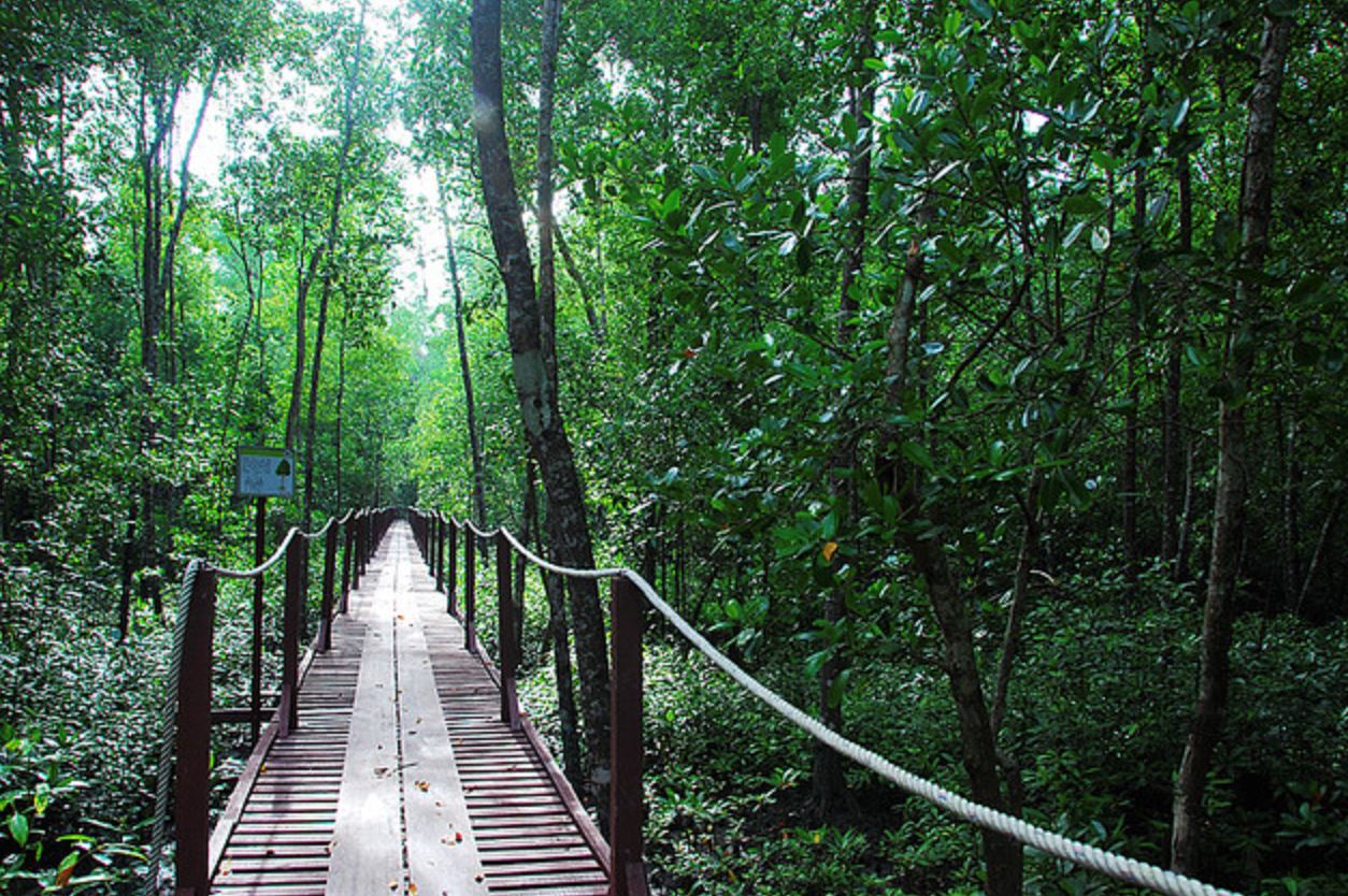 planning an outdoor adventure in selangor? you’ll need to use the new epermit system starting this april!