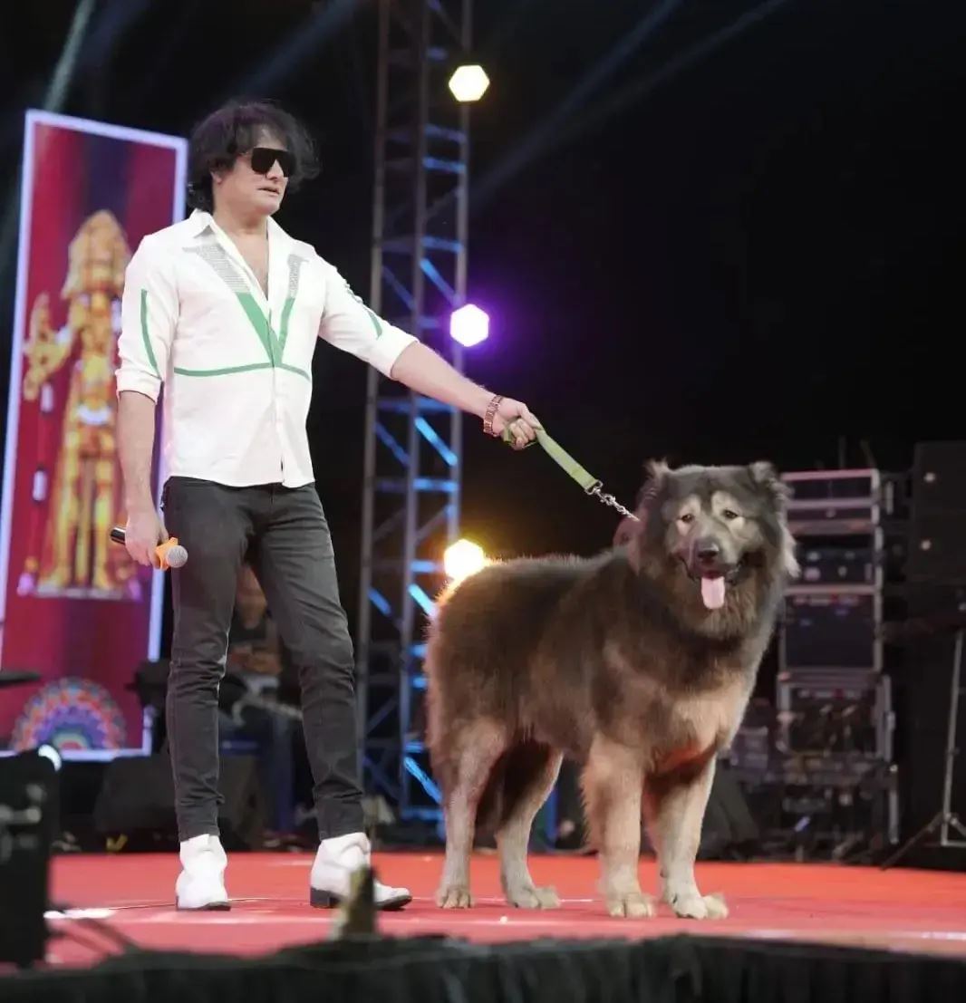 meet the world’s most expensive dog—sold for rm26.8 million!
