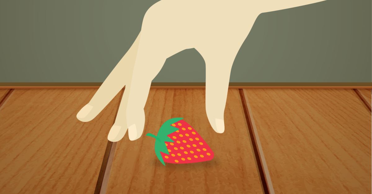 five-second rule? scientist’s test reveals even quick drops carry bacteria
